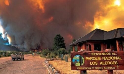 argjentine zjarri shkaterron mbi 8200 hektare te parkut kombetar los alerces