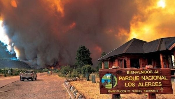 argjentine zjarri shkaterron mbi 8200 hektare te parkut kombetar los alerces