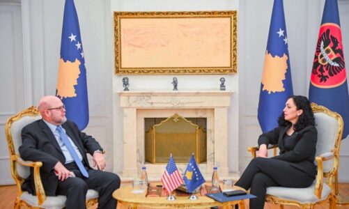 heqja e dinarit serb presidentja e kosoves takim me ambasadorin e shba diskutime per periudhen e tranzicionit