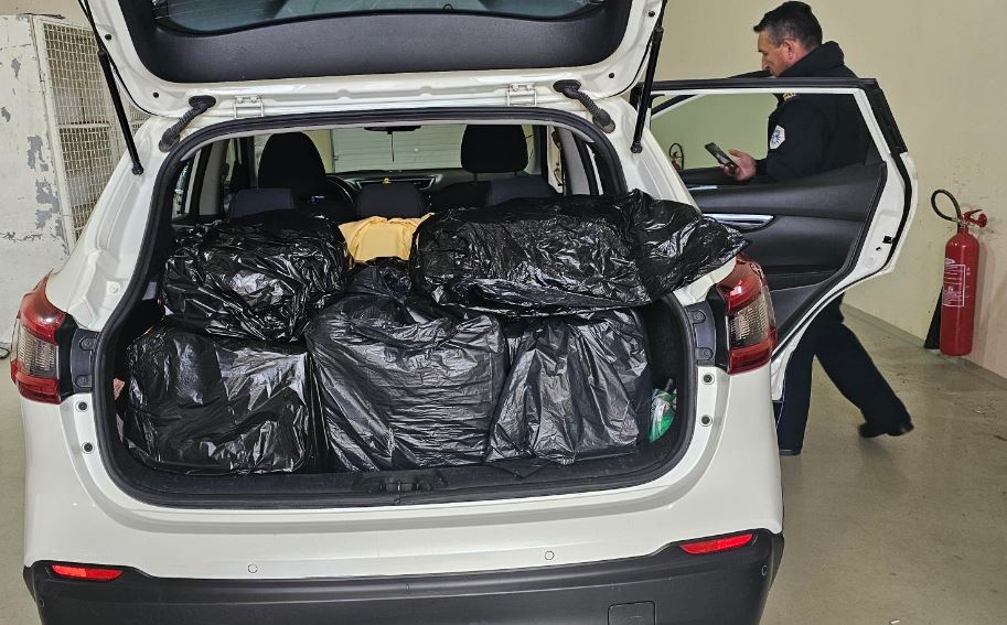 karkalece oktapode dhe kallamare tentuan ti kalonin kontrabande nga shqiperia ne kosove sekuestrohen 130 kilogram me ushqime deti ne kufi