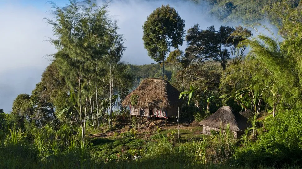 konfliktet mes fiseve shkaktojne mbi 60 te vdekur ne new guinea papua