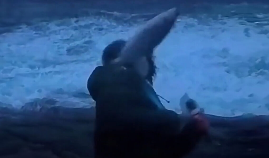 video norvegji doli per te treguar stuhine burri goditet nga nje peshk fluturues