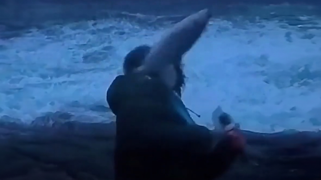 video norvegji doli per te treguar stuhine burri goditet nga nje peshk fluturues