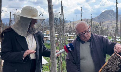 74 vjecari qe le kryeqytetin per tu kujdesur per bletet ne fshatin e larget te maliqit ne strelce