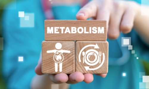 cilat jane zakonet e perditshme qe po ngadalesojne metabolizmin