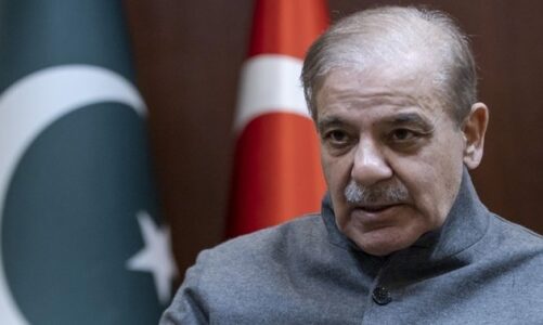 kryeministri i pakistanit ben thirrje per zgjerimin e tregtise dypaleshe me turqine