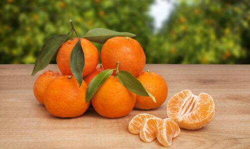 mandarinat ndihmojne per te kuruar anemine