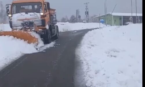 pastrimi i rrugeve nga bora ne zonat malore balla autoriteti rrugor shqiptar dhe njesite e qeverisjes vendore ne krye te detyres