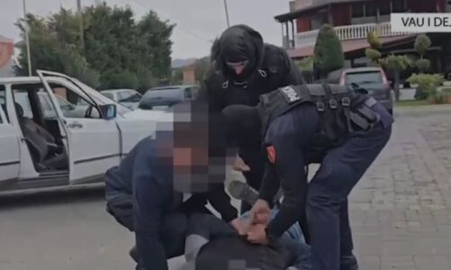 policia shtrihu posedonin 1 mije fara kanabisi ne makine arrestohen dy persona ne vaun e dejes video