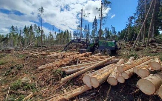 prerja masive e pemeve ngre alarm ne france autoritetet paralajmerojne per katastrofe ekologjike