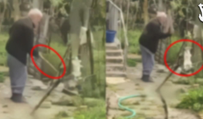 video i moshuari dhunon barbarisht macen e varur