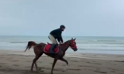 video mbahet ne darezeze edicioni i peste i garave me kuaj surprize konkurrenti 12 vjecar nga durresi