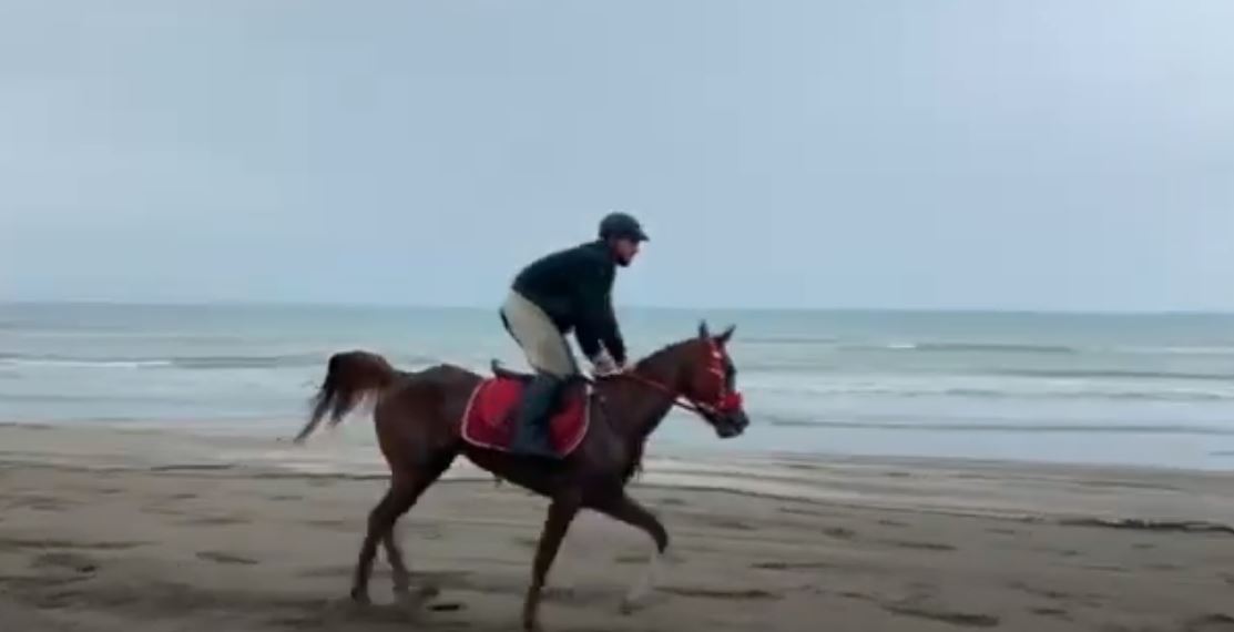 video mbahet ne darezeze edicioni i peste i garave me kuaj surprize konkurrenti 12 vjecar nga durresi
