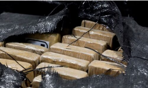 vinin nga ekuadori gjenden 170 kilogram kokaine ne belgjike ishin fshehur ne