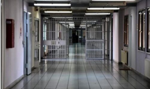 amnistia penale 55 te burgosur ne drenove lene qelite 73 te tjere perfitojne ulje denimi