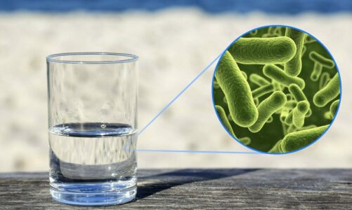 france zbulohen baktere te rrezikshme ne ujin e pijshem