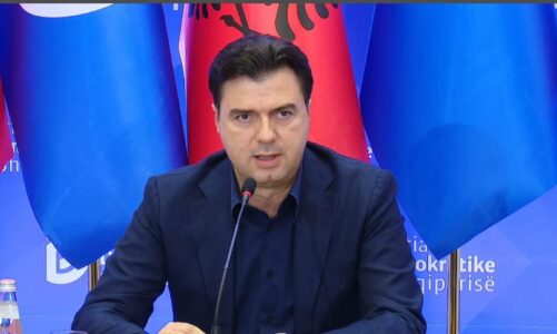 ka nje komplot kunder votes se shqiptareve basha per komisionin per dezinformim perjekje per strukture paralele e propagande