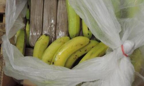 kompanite e bananeve kamuflazh per trafikun e doges raporti i europol shqiptari siguronte transportin dhe shperndarjen e kokaines nga kolumbia