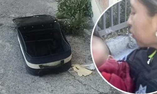 Prindërit braktisin djalin dyvjeçar në një valixhe, policia e gjen të plagosur