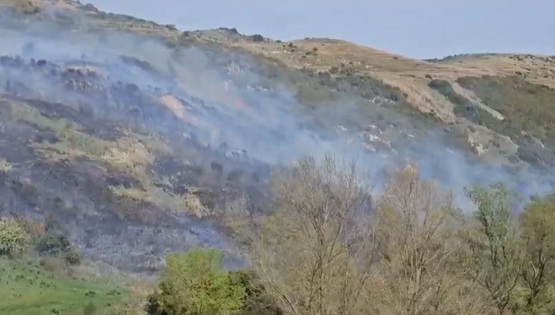 selenise banoret prej oresh ne lufte me flaket zjarri perfshin ullinjte dhe kosheret e bleteve