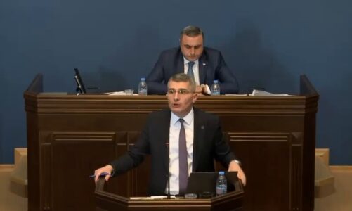 video sherr me grushte ne parlamentin gjeorgjian per ligjin rus kreu i partise qeverises goditet me force ne foltore