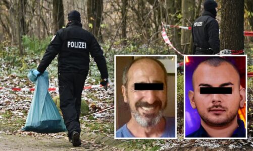 zbardhet vrasja e burrelsit ne gjermani krimin e mori persiper 17 vjecari nga lushnja policia shpall ne kerkim dy te dyshuar