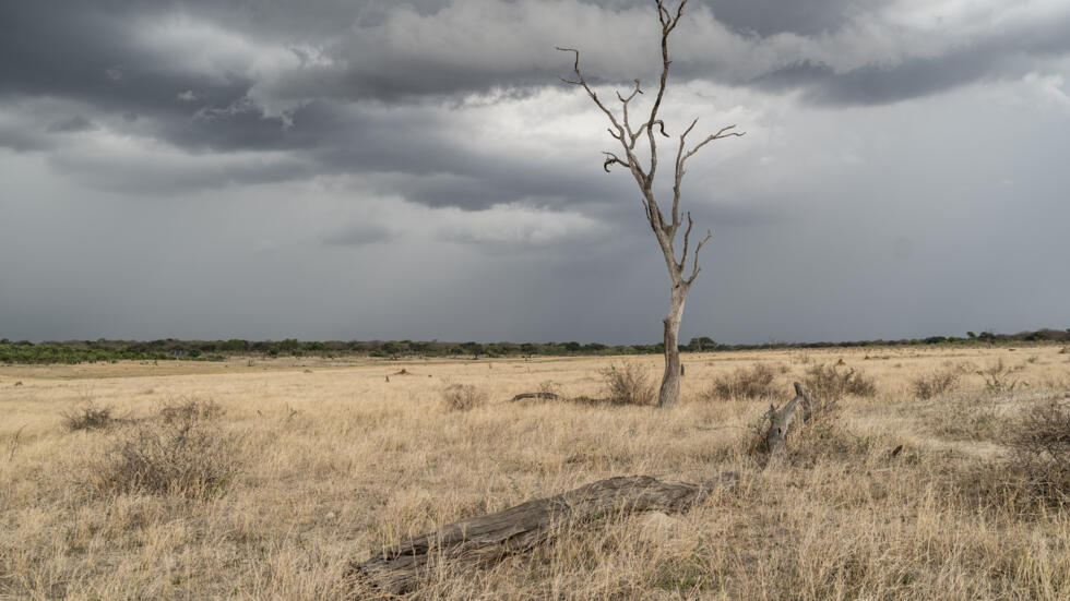 Zimbabve shpall gjendjen e katastrofës për shkak të thatësirës