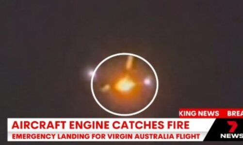 aeroplani i virgin australia ben ulje emergjente pasi motori i tij goditet nga shpendet dhe perfshihet nga zjarri