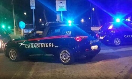 masakrohet me thike shqiptari ne itali shkoi ne banesen e autorit per te takuar mbesen por arrestohet 41 vjecari