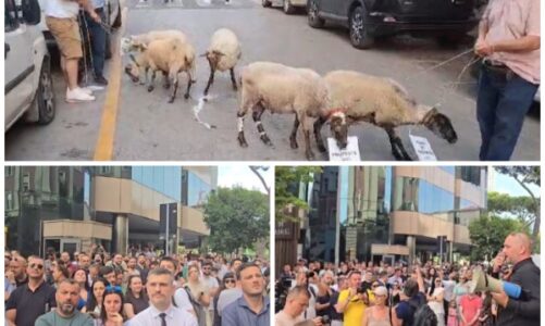 profesionistet e lire protestojne para gjykates kushtetuese nuk mungojne as delet ja simbolika