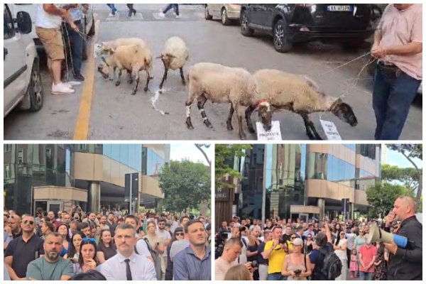 profesionistet e lire protestojne para gjykates kushtetuese nuk mungojne as delet ja simbolika