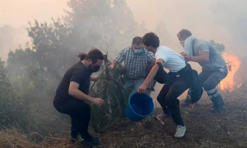sezoni i zjarreve nis ne evrope portugalia vendi me i rrezikuar mobilizohen qindra zjarrfikes ne greqi france e spanje