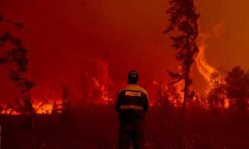 zjarret po shkaterrojne rrethin arktik