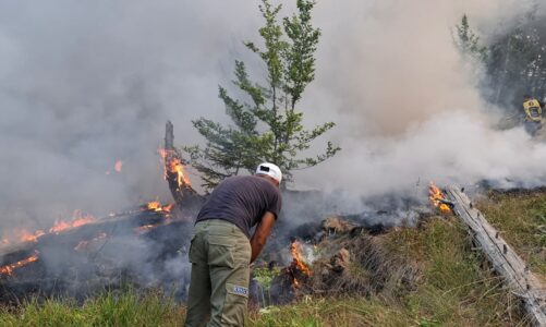 2 vatra aktive zjarri ne qarkun e dibres forcat zjarrfikese ne terren ne lure pritet nderhyrja e helikopterit