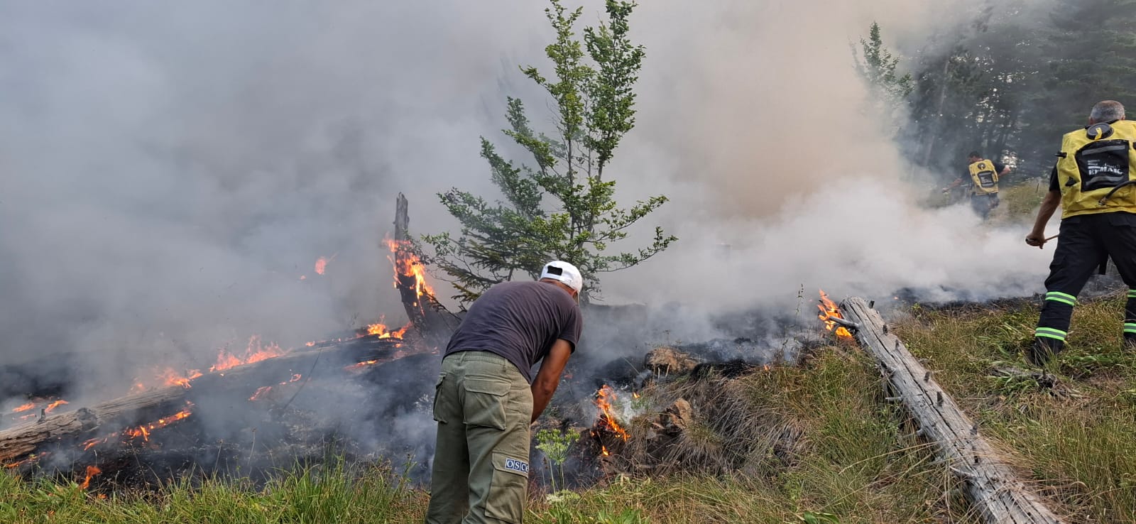 2 vatra aktive zjarri ne qarkun e dibres forcat zjarrfikese ne terren ne lure pritet nderhyrja e helikopterit