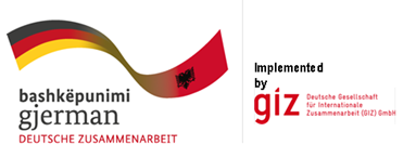 giz open call for tender prequalification