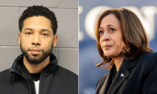 ish shefi i dedektiveve te cikagos paralajmeron votuesit per kamala harris ja si mbeshteti nje mashtrues