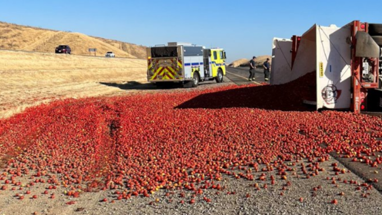 kamioni permbyset dhe mbulon autostraden e kalifornise me domate