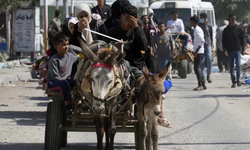 obsh te shqetesuar per mundesine e shperthimit te virusit polio ne gaza jane gjetur gjurme ne