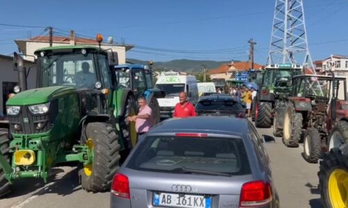 prodhimet e mbetura stok fermeret e maliqit ne proteste tentojne te bllokojne rrugen