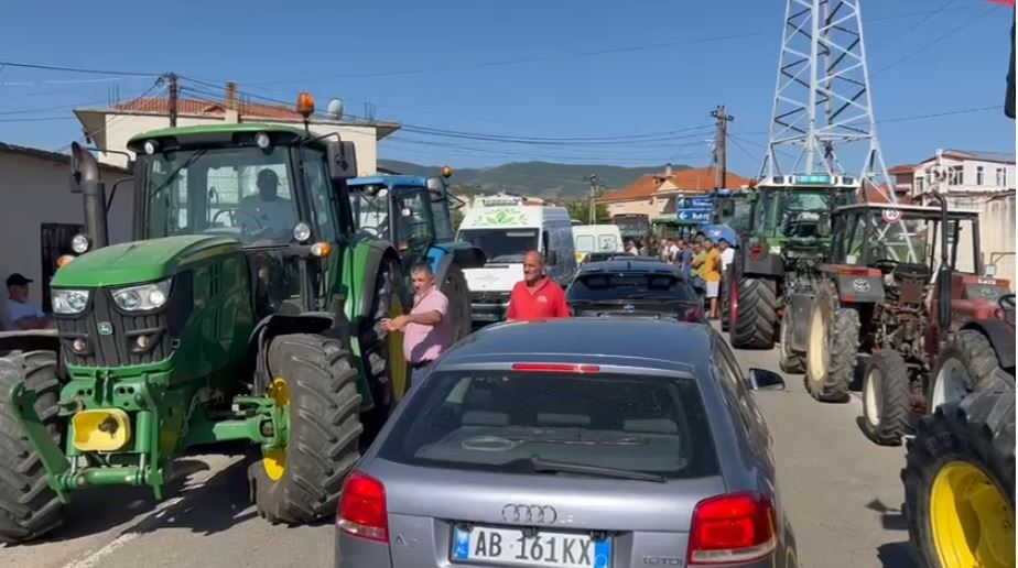prodhimet e mbetura stok fermeret e maliqit ne proteste tentojne te bllokojne rrugen