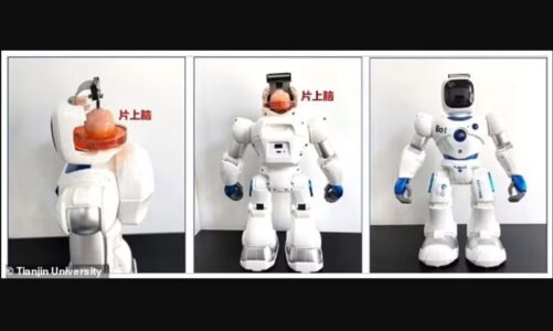 shkencetaret kineze kane krijuar per here te pare nje robot me tru njeriu