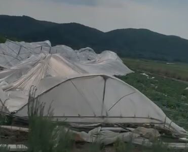 video stuhia ne elbasan demton thuajse totalisht serat dhe te mbjellat e banoreve ne zonen e