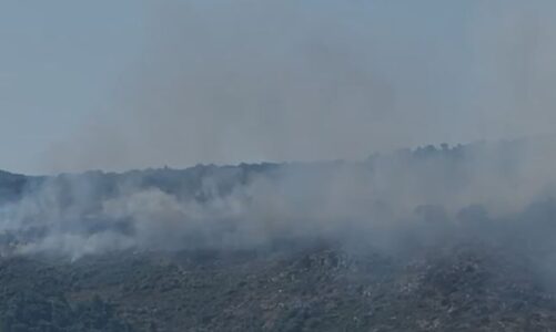 video zjarri ne shengjin gjekmarkaj nuk ka kohe per propagande te nderhyje ushtria dhe helikopteri per shuarjen e flakeve