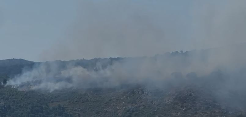 video zjarri ne shengjin gjekmarkaj nuk ka kohe per propagande te nderhyje ushtria dhe helikopteri per shuarjen e flakeve