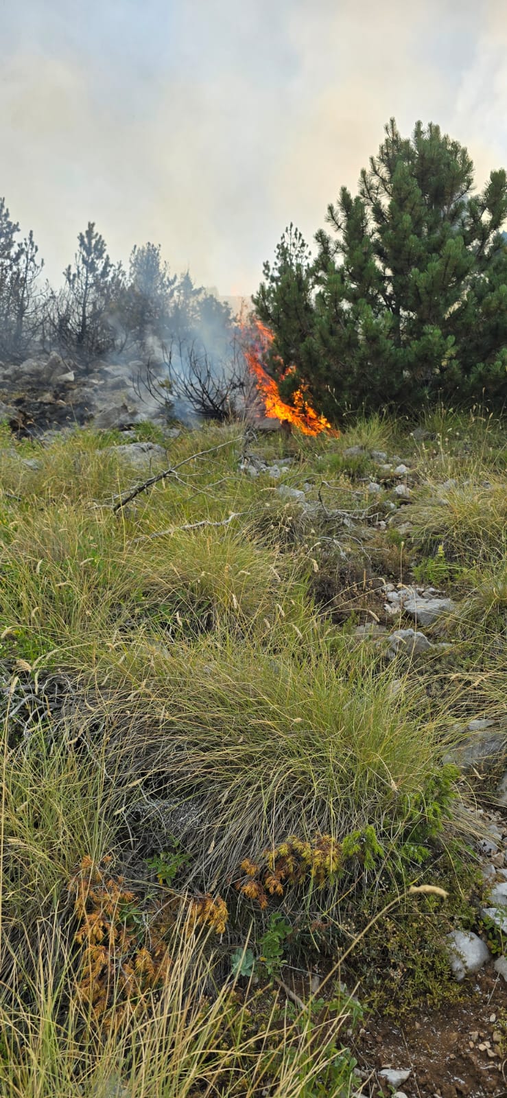 vijon zjarri ne parkun kombetar te lures flaket djegin mbi 10 ha kullote dhe pyje terreni i thyer veshtireson operacionin