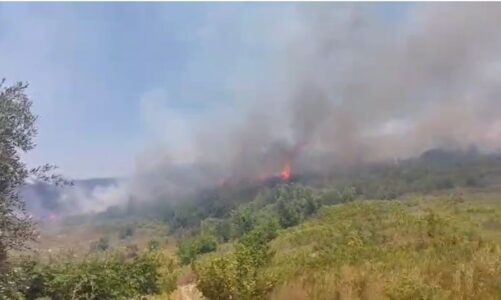 zjarr ne bllokun e fiqve ne berat perparon ne tre kodra mes fshatrave duhanas e mimias zjarrfikesit po luftojne me flaket