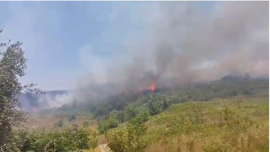 zjarri ne fshatin frashtan rrezikon banesat kunder flakeve edhe zjarrfikeset e gjirokastres