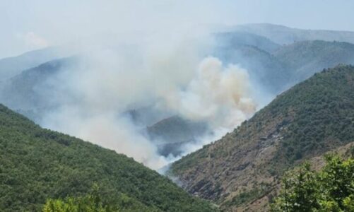 zjarri ne mat perfshihet nga flaket nje banese rrezikohet zona e mbrojtur nderhyhet edhe nga ajri