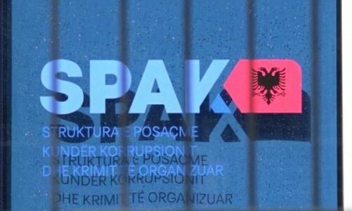 detaje nga operacioni i spak plumbi i arte 2 zbardhen 6 ngjarje kriminale mes tyre vrasje dhe atentate ekzekutohen 15 masa arresti